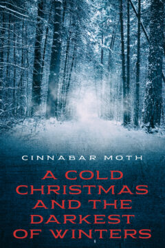 A_Cold_Christmas_eBook(1)